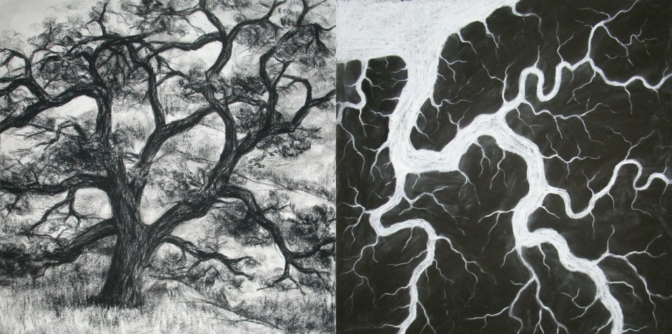 Branching, meandering studies, 2011